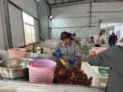 好水育好虾！怀远小龙虾养殖面积冲破
